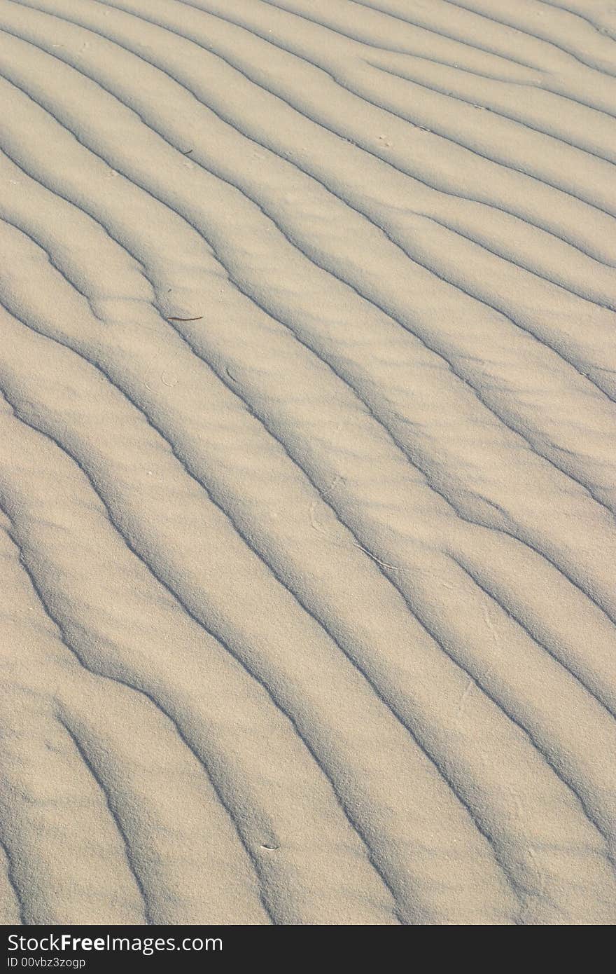 Sand ripples of the gypsum sand dunes - Guadalupe Mountains National Park