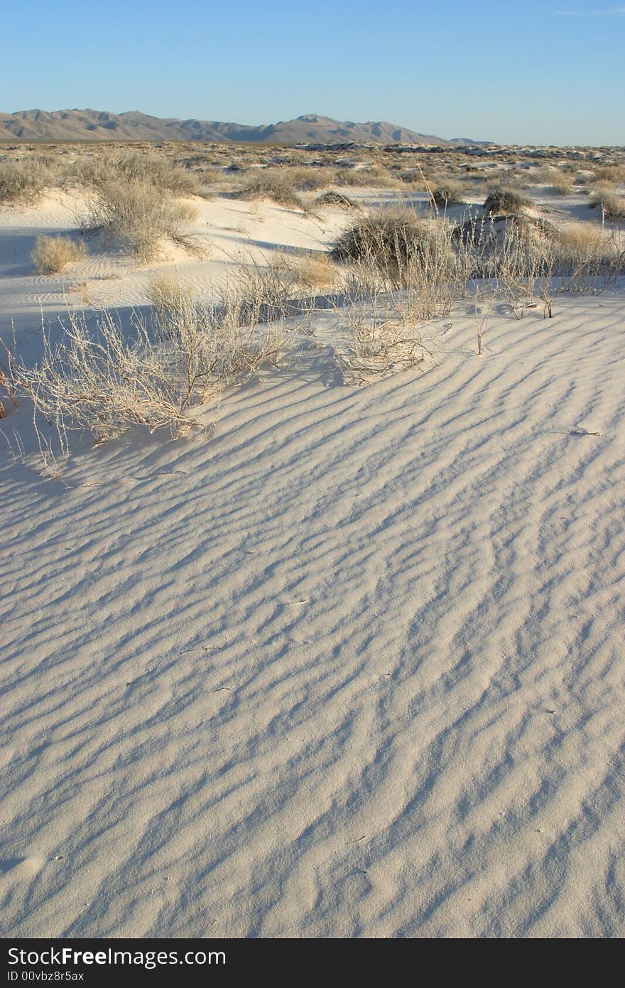 Gysum sand dunes of Guadalupe Mountains National Park. Gysum sand dunes of Guadalupe Mountains National Park