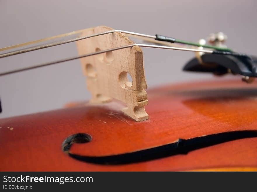 Close-up of a violin