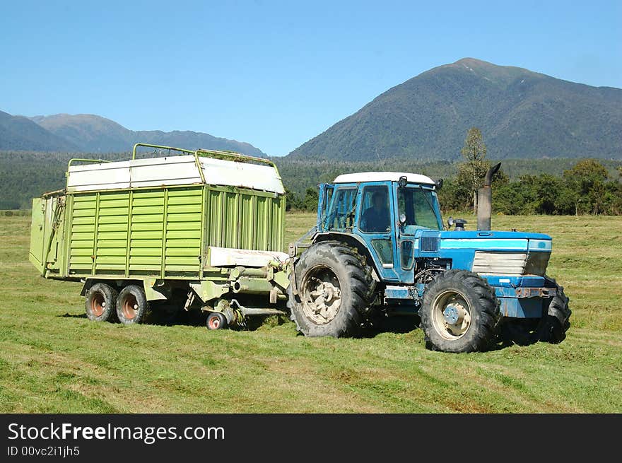 Tractor picking up mown pasture in silage wagon, West Coast, South Island, New Zealand. Tractor picking up mown pasture in silage wagon, West Coast, South Island, New Zealand