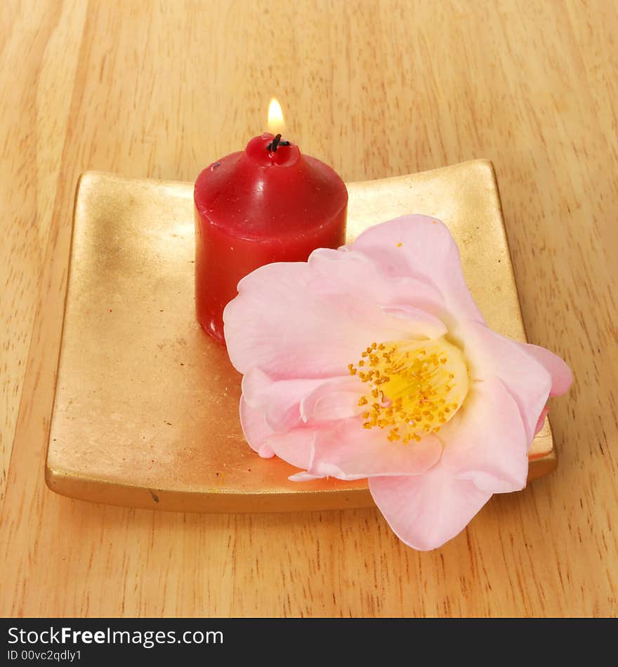 Burning red candle and Camellia flower on gold plate