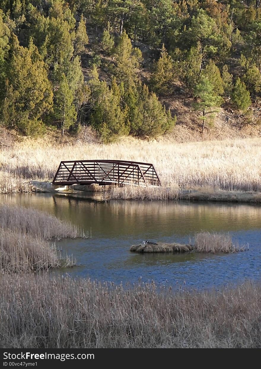 A wood and metal bridge over a river with a goose nest in the middle of it.