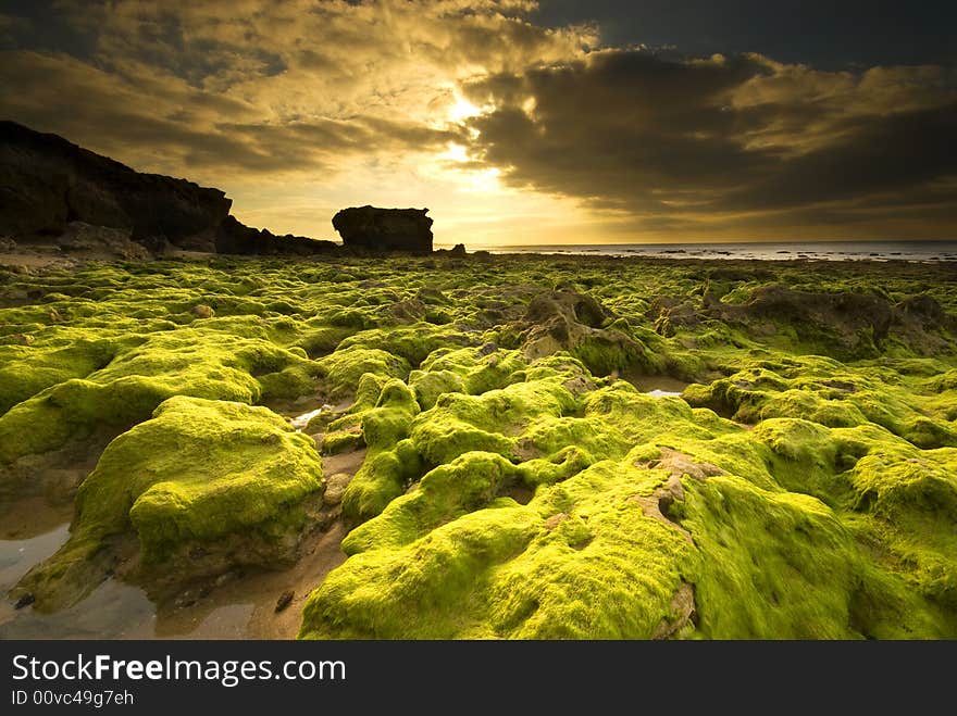 Low tide in southern portugal