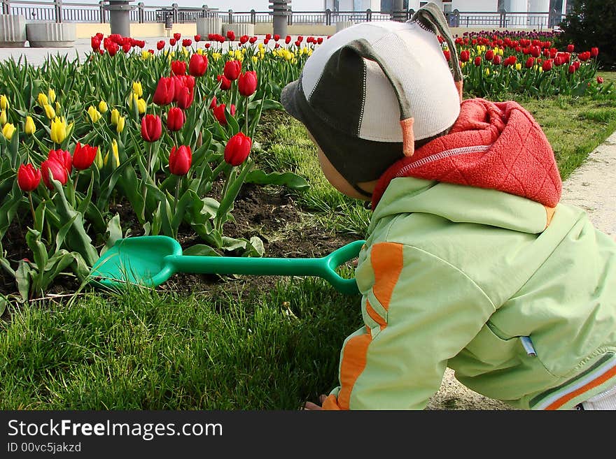 Baby with spade in the garden. Baby with spade in the garden