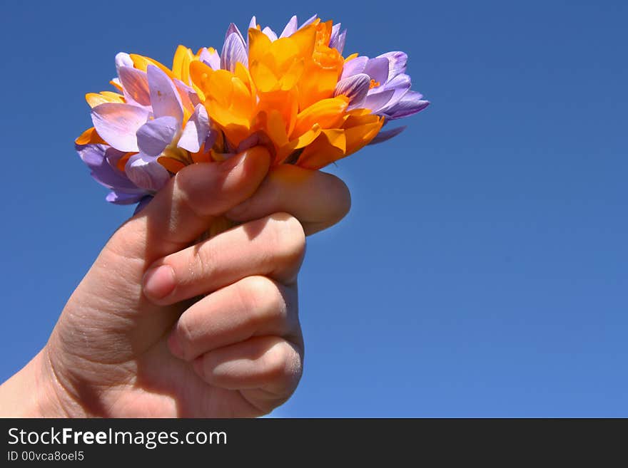 Hand with bouquet on clear blue sky background