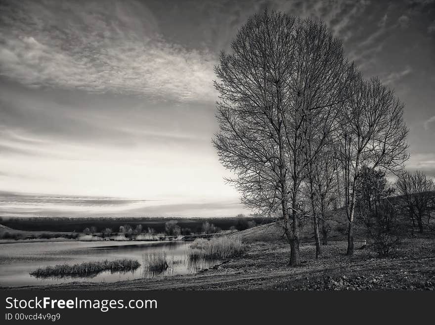 An evening is ashore lake with a reed