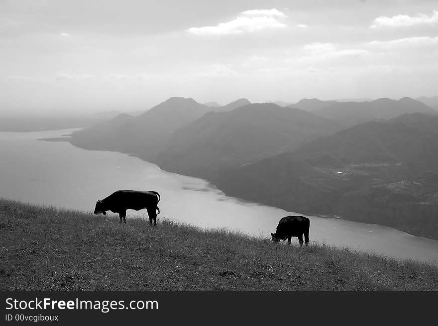 Monte Baldo