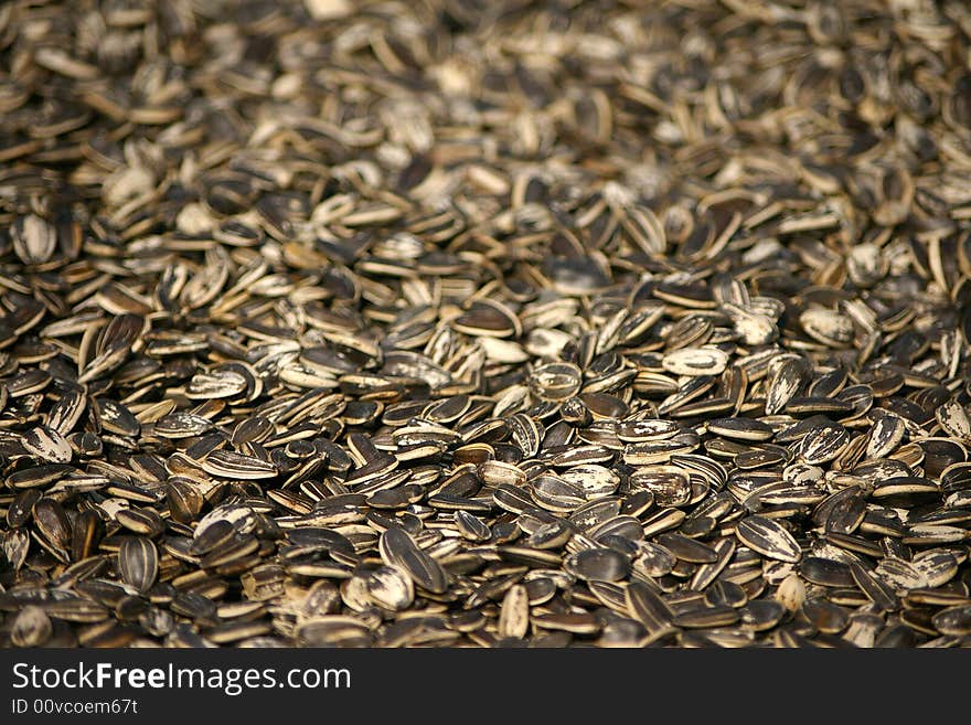 Sunflower Seeds