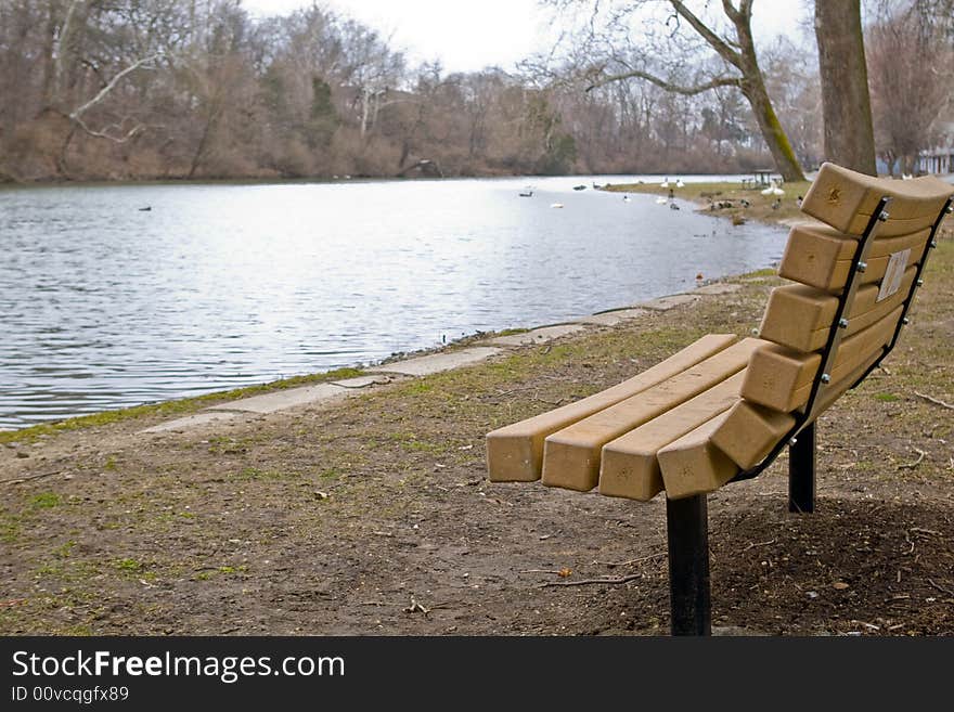 Empty Bench