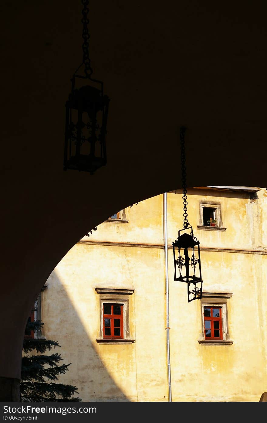 A part of a yard with a street lamp