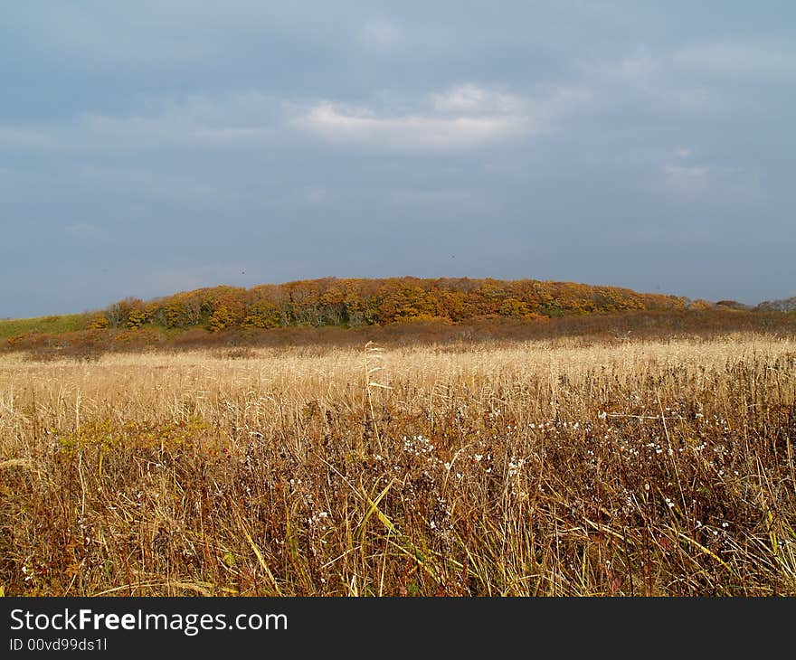 Perspectives Of Cape Paltusoviy, Island Kunashir