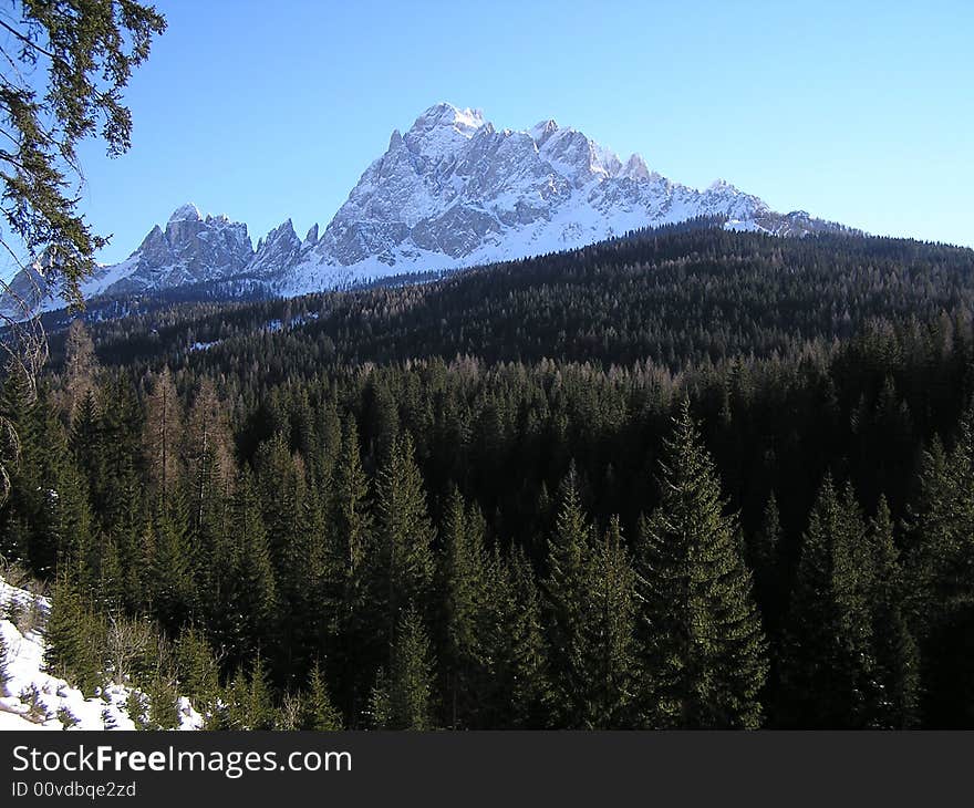 Alpine mountains and forest in winter