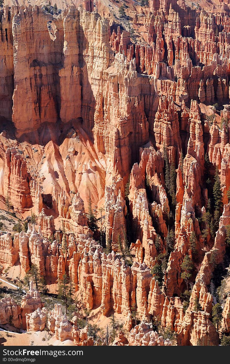 Bryce Canyon Hoodoos