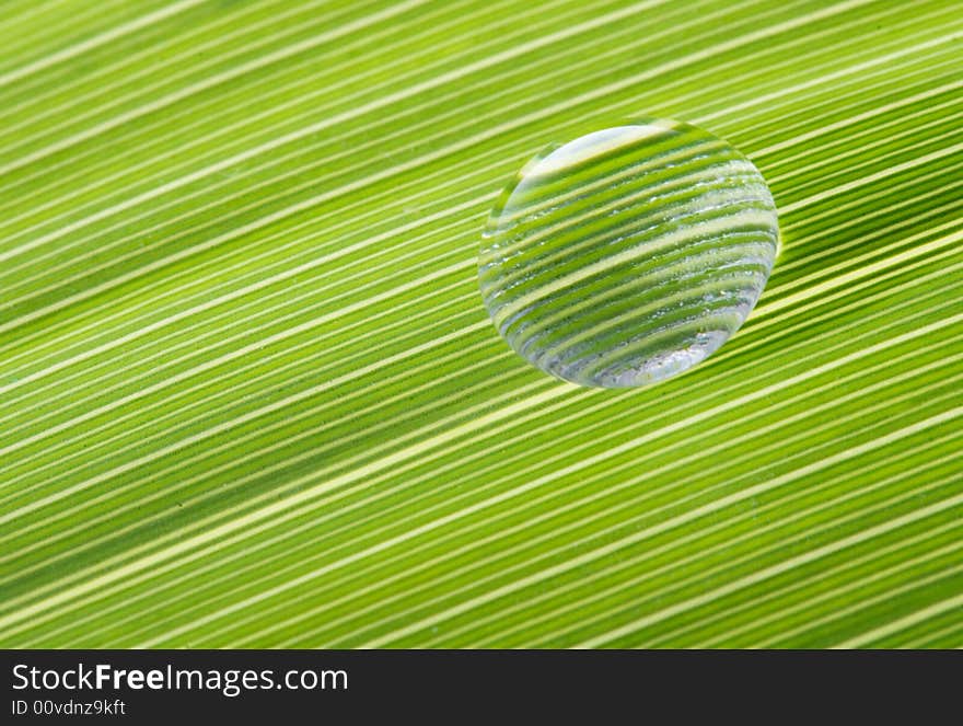 Waterdrop on a leaf