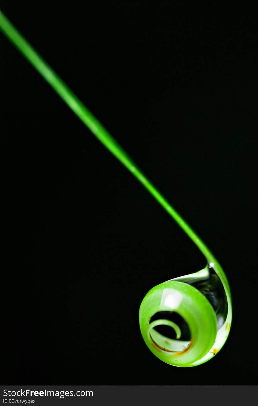 A green shoot from a plant curls up with a water droplet on black background. A green shoot from a plant curls up with a water droplet on black background.