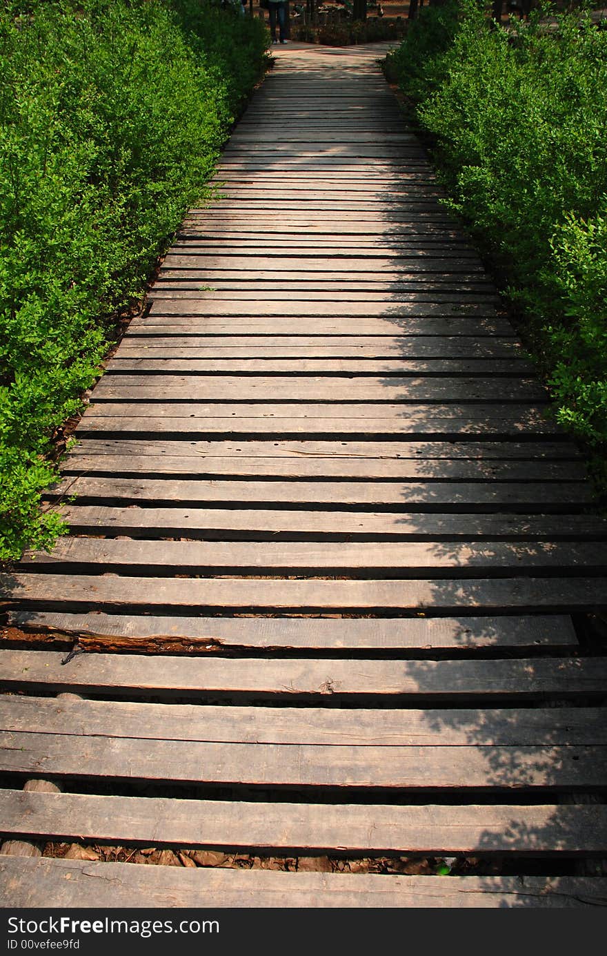 The Wood Path In The Bush