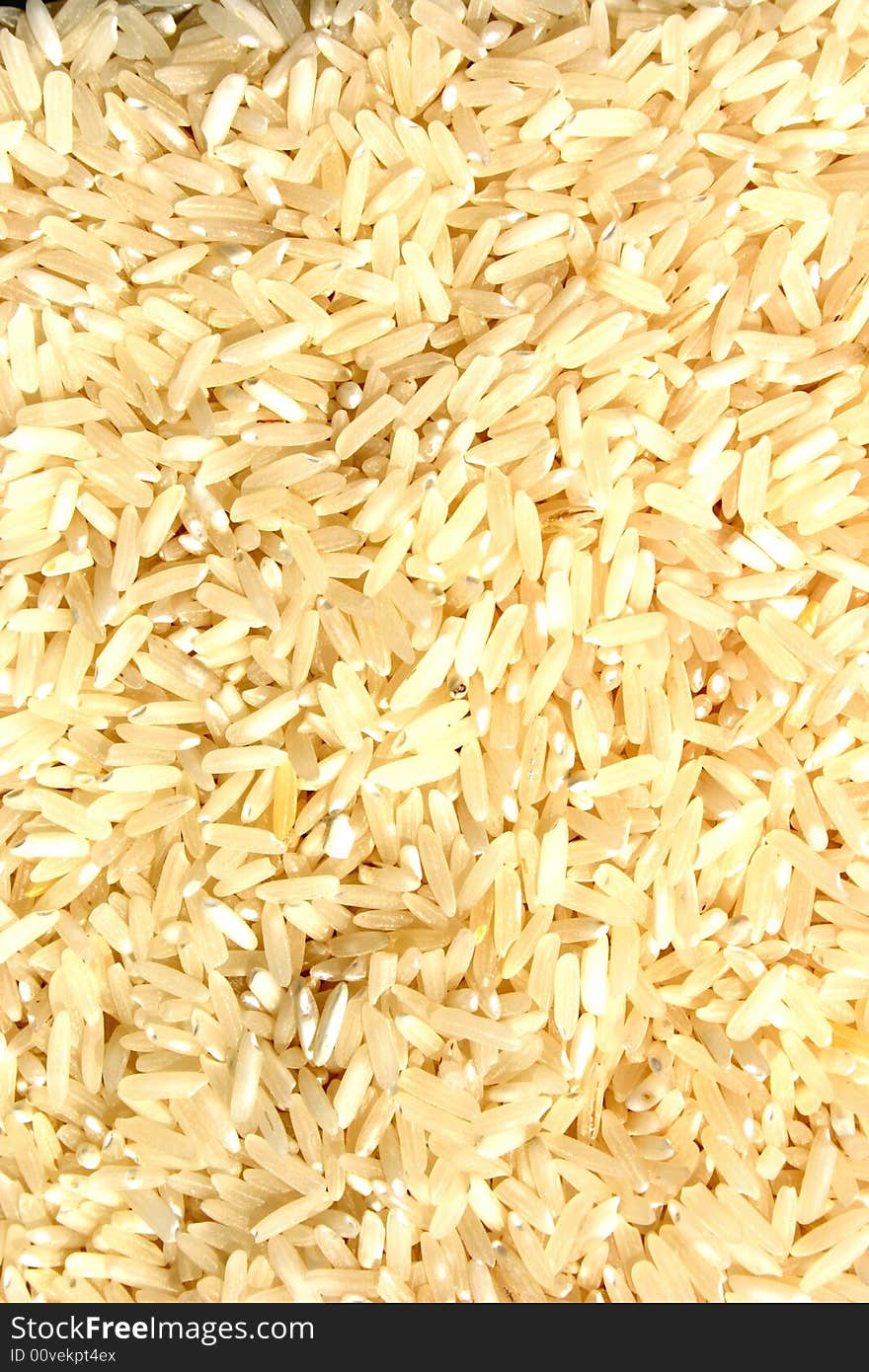 Basmati rice grains