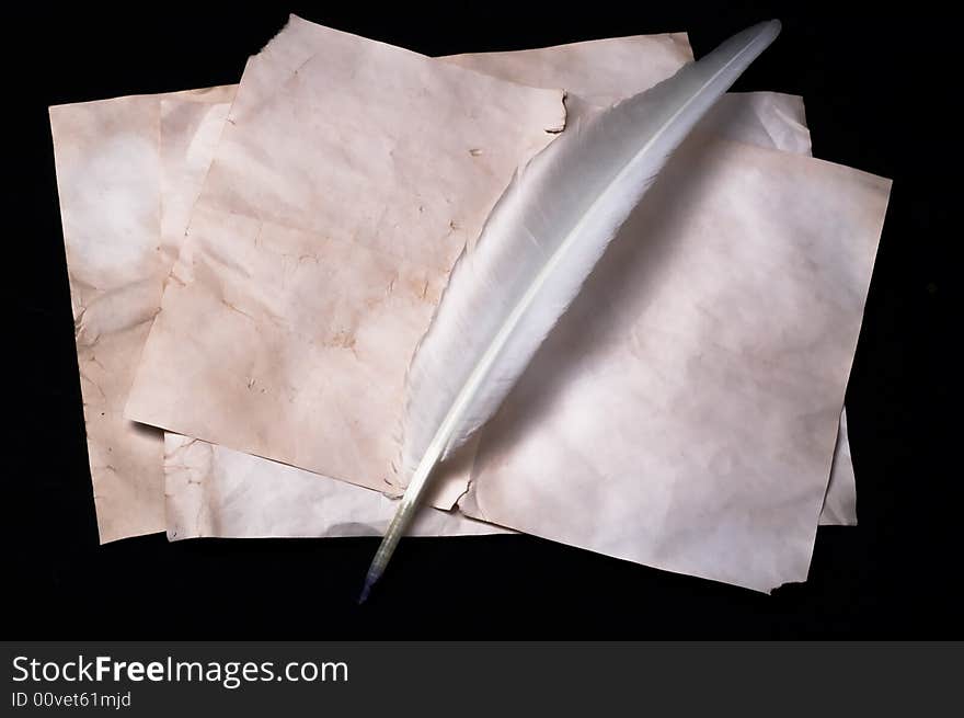 White quill on the paper