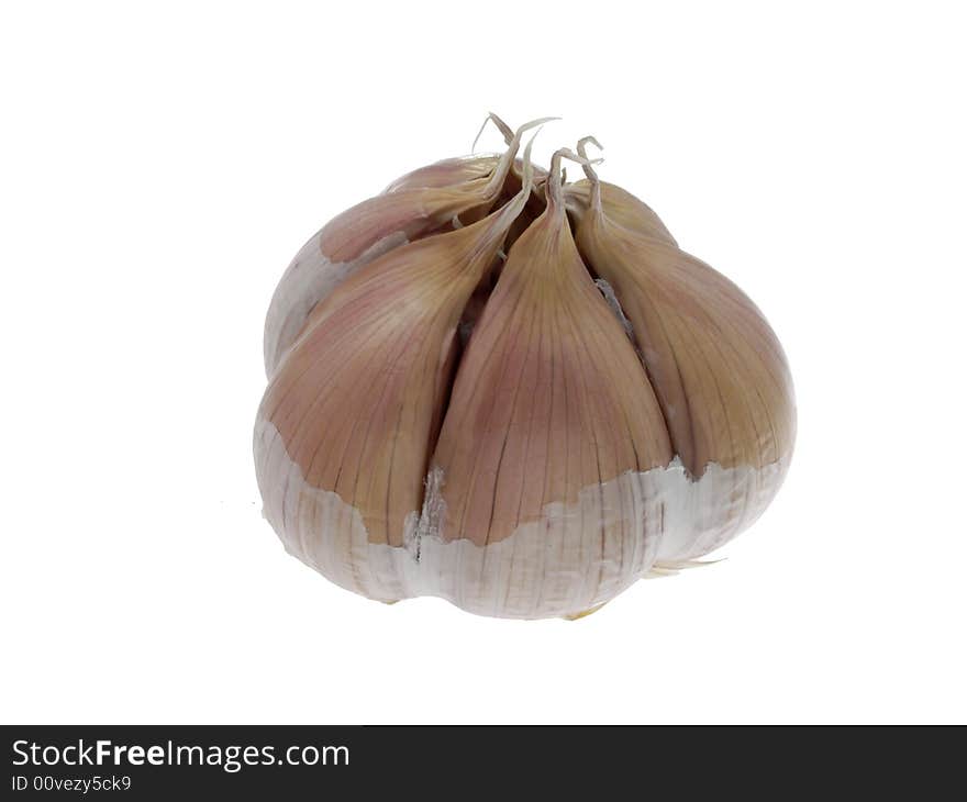 Garlic bulb