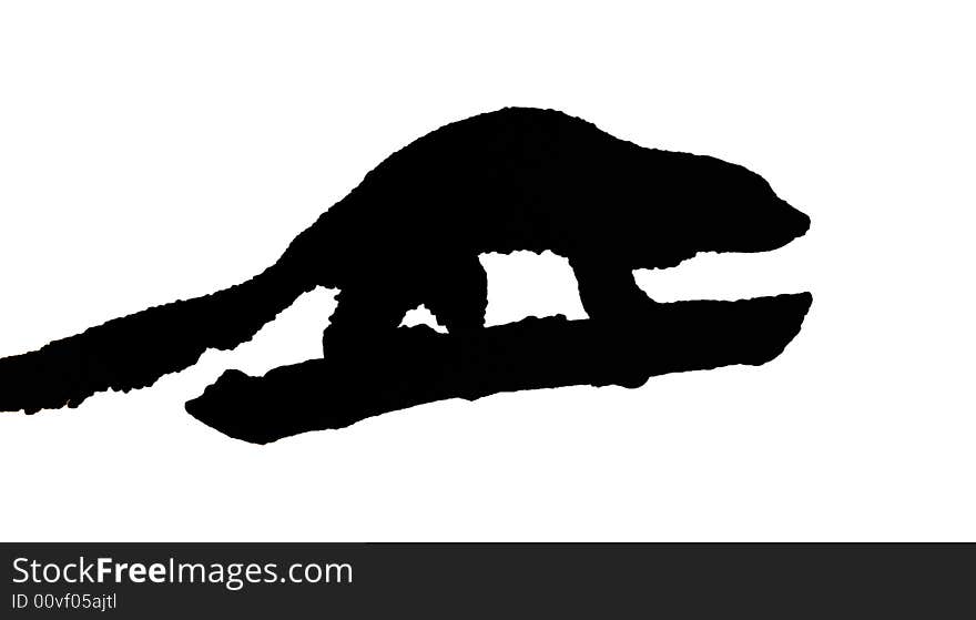 An illustration silhouette of a mouse lemur isolated on white background. An illustration silhouette of a mouse lemur isolated on white background.