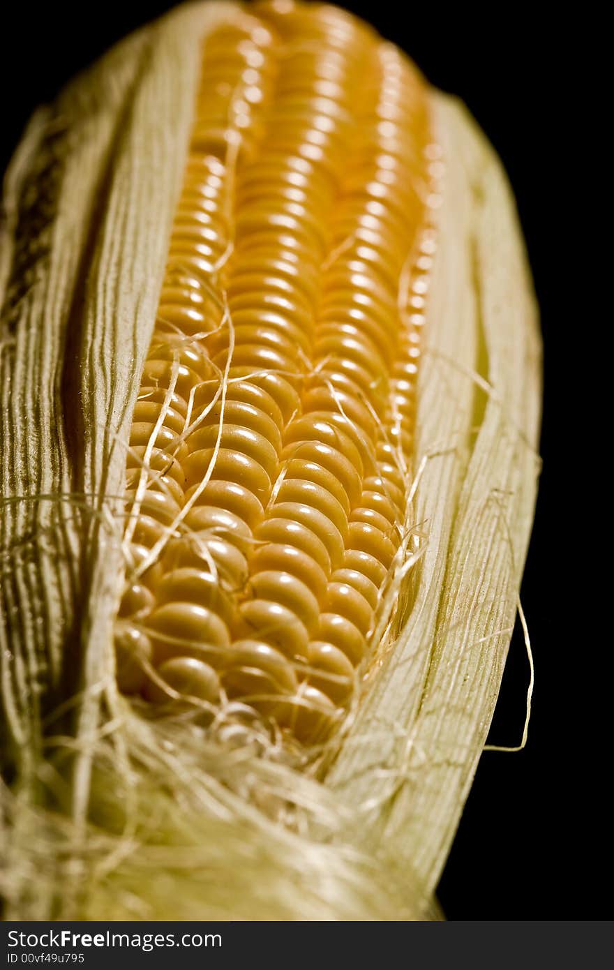 Vegetable serias: golden corn over black background