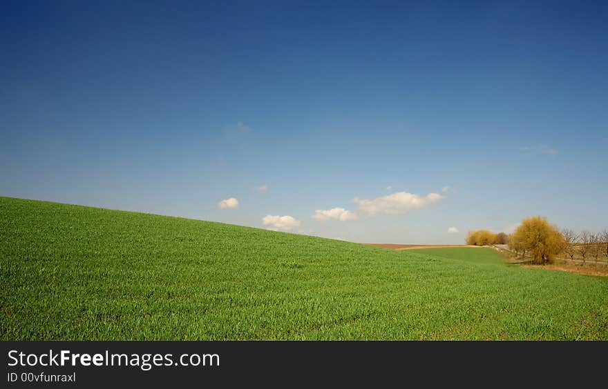 An image of a green meadow and blue sky. An image of a green meadow and blue sky