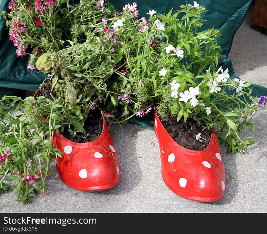 Blooming plants growing in red rubbers. Blooming plants growing in red rubbers