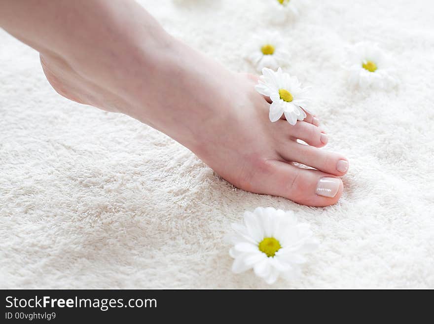 Female feet with white daisies.