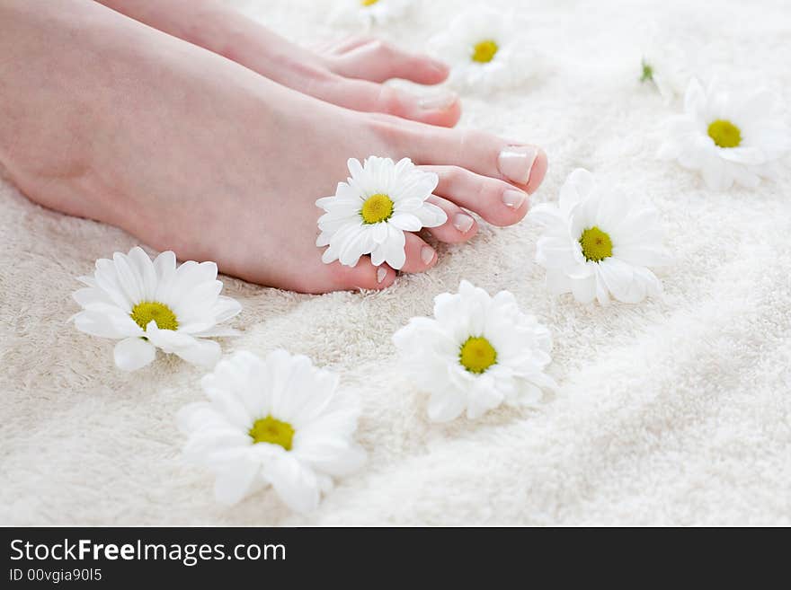 Female Feet With White Daisies.