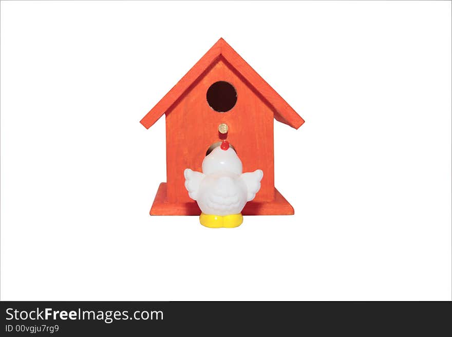 A little chick flying back to his homem with clipping path. A little chick flying back to his homem with clipping path