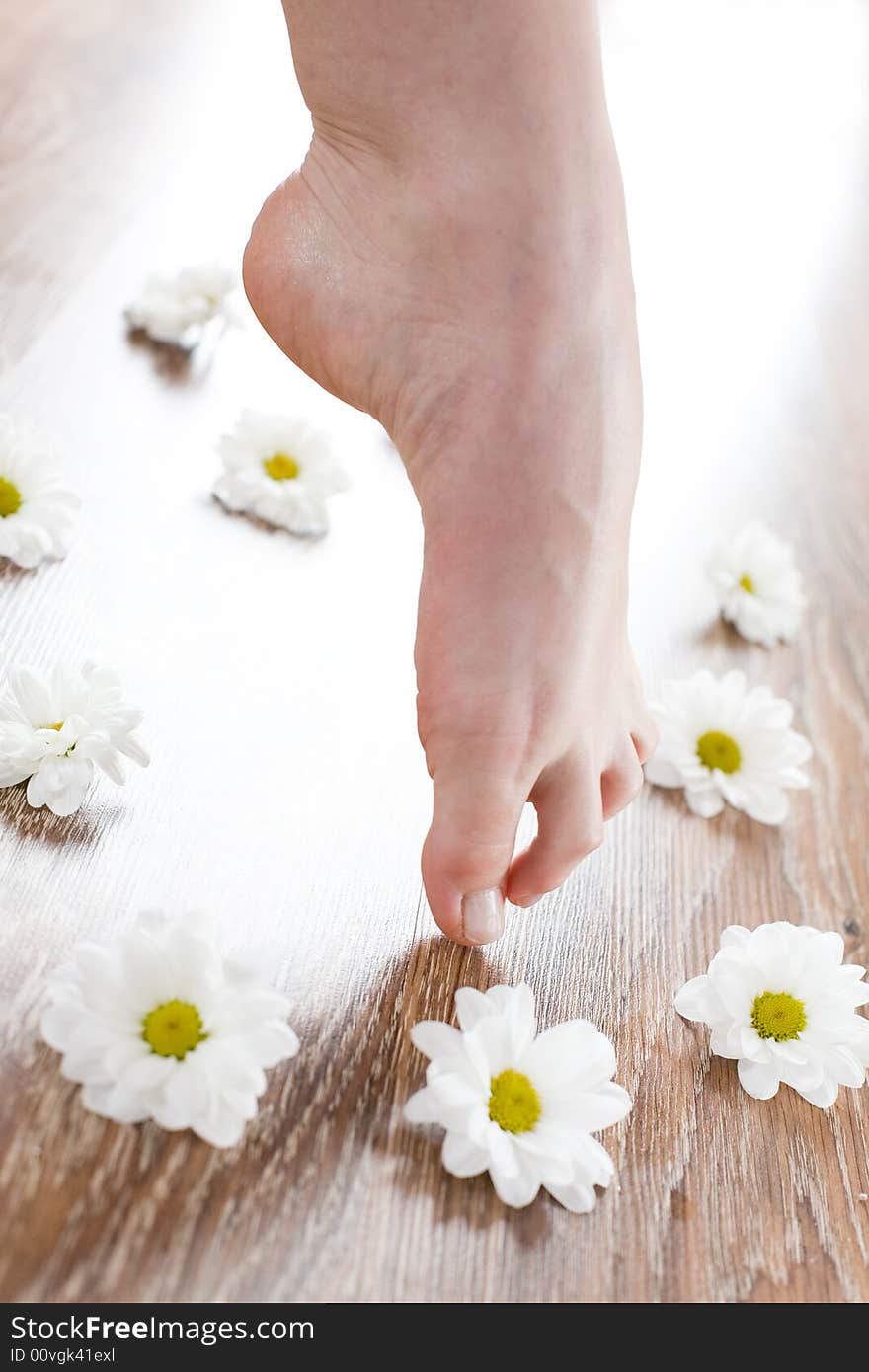 Female Feet On The Dark Floorboard