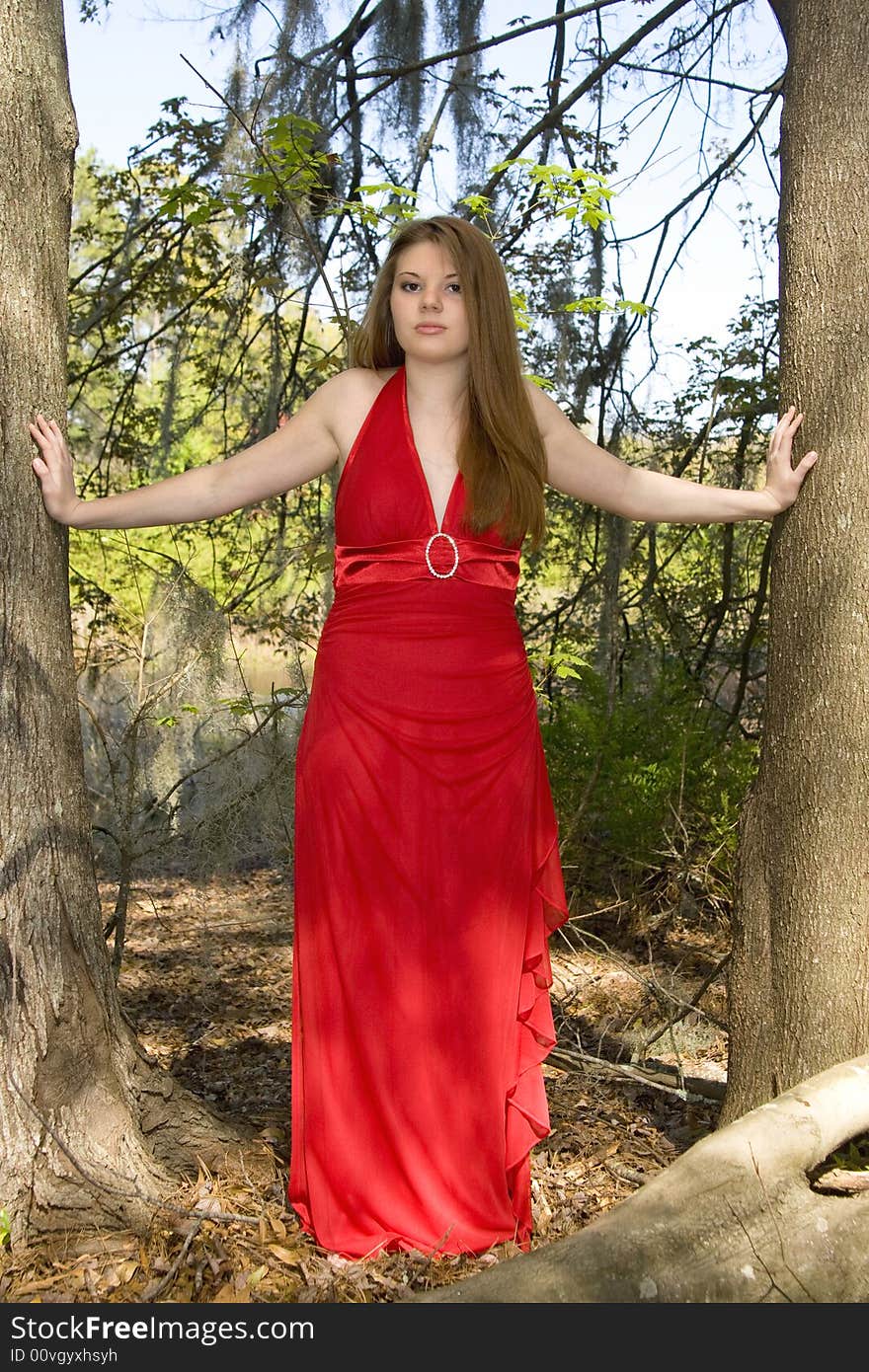 Beautiful Woman In Red Dress