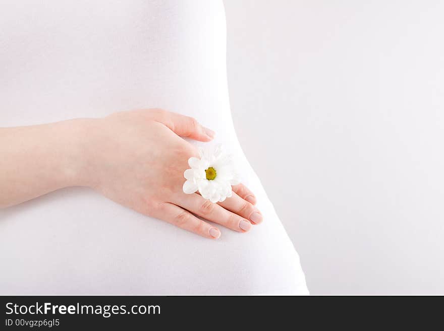 Female hand with daisy on the belly / copyspace