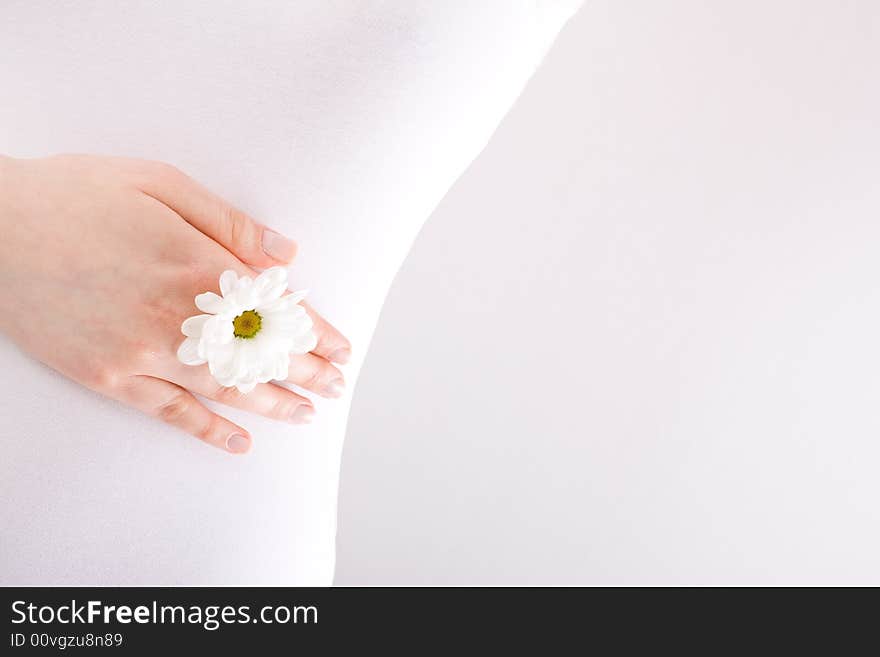 Female hand with daisy on the belly / copyspace