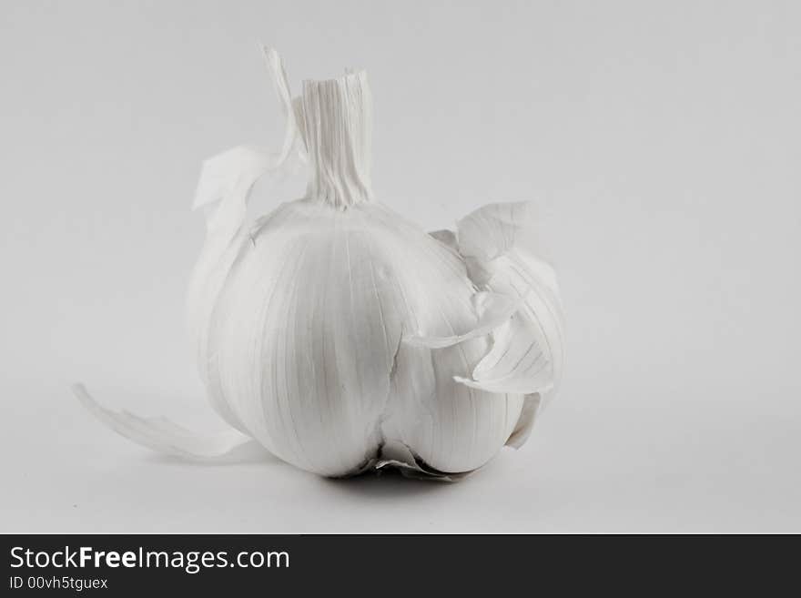 A garlic on a white background