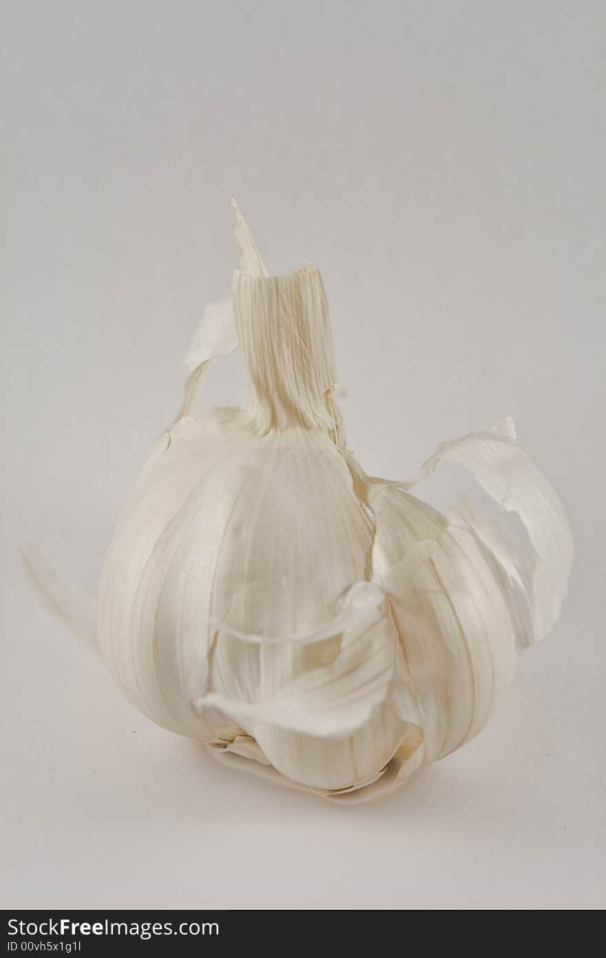 A garlic on a white background