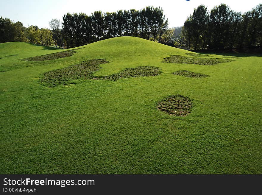 Beautiful green land scape and trees. Beautiful green land scape and trees