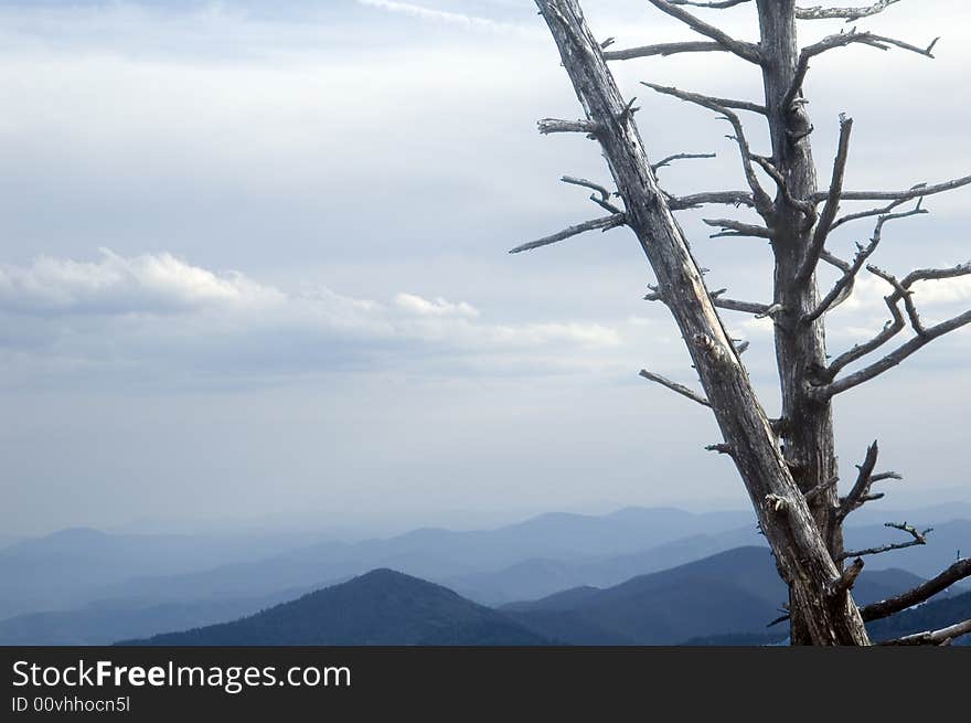 Dead trees from acid rain overlooking beautiful mountains. Dead trees from acid rain overlooking beautiful mountains