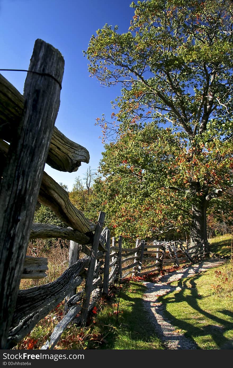 A very dimensional view down a fence line leading to an autumn tree which leaves are changing color. A very dimensional view down a fence line leading to an autumn tree which leaves are changing color.