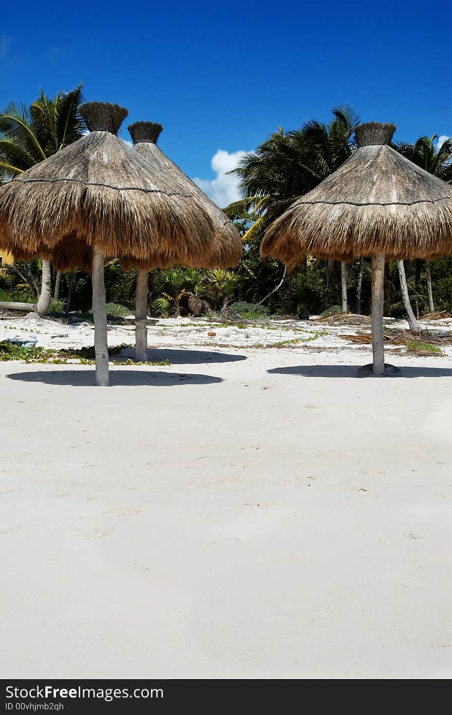 Tropical beach at summer, Mexico riviera maya