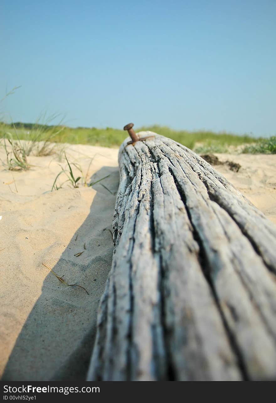 Driftwood on the Beach, Chincoteague, Virginia