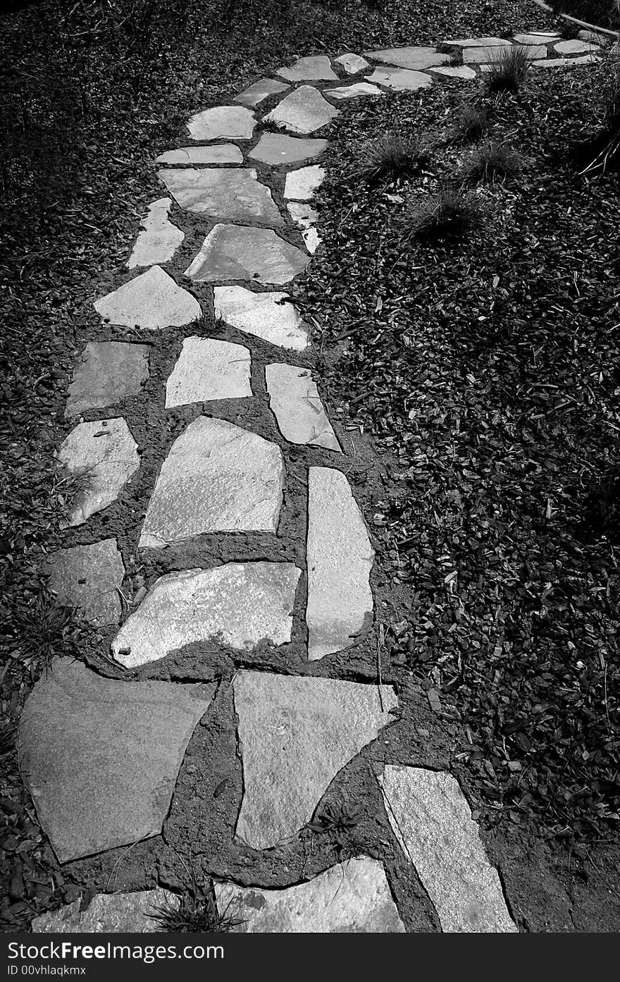 Old stone path through rough grass and weeds