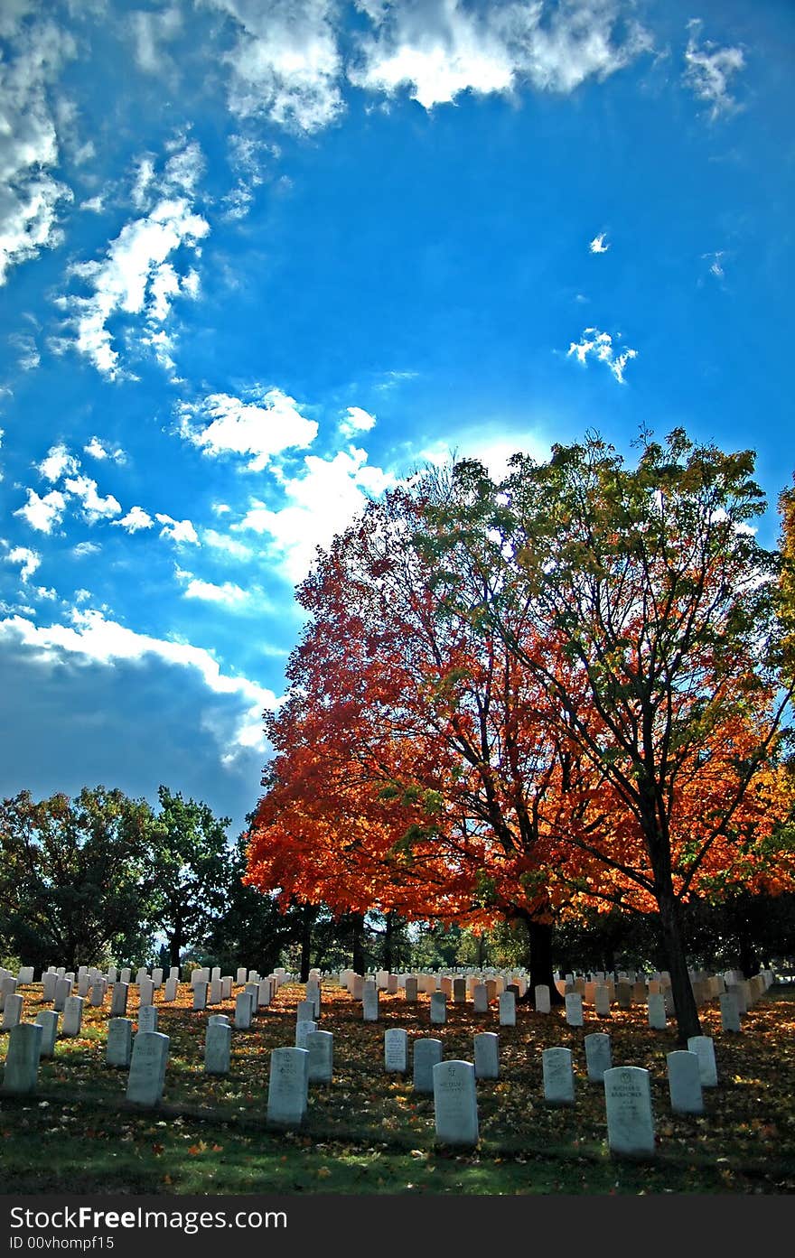 Arlington Cemetery