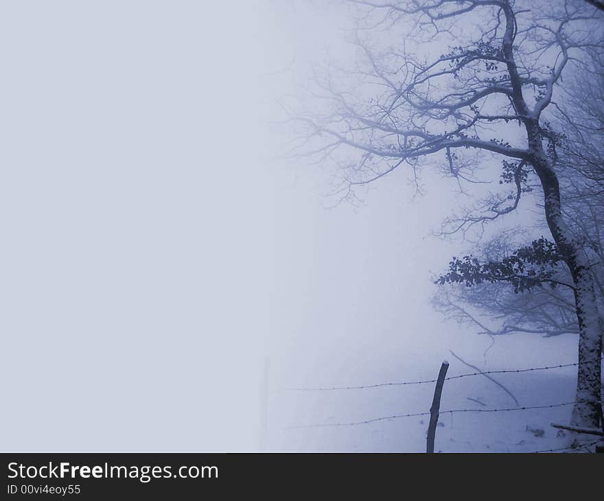 Winter Trees Blue