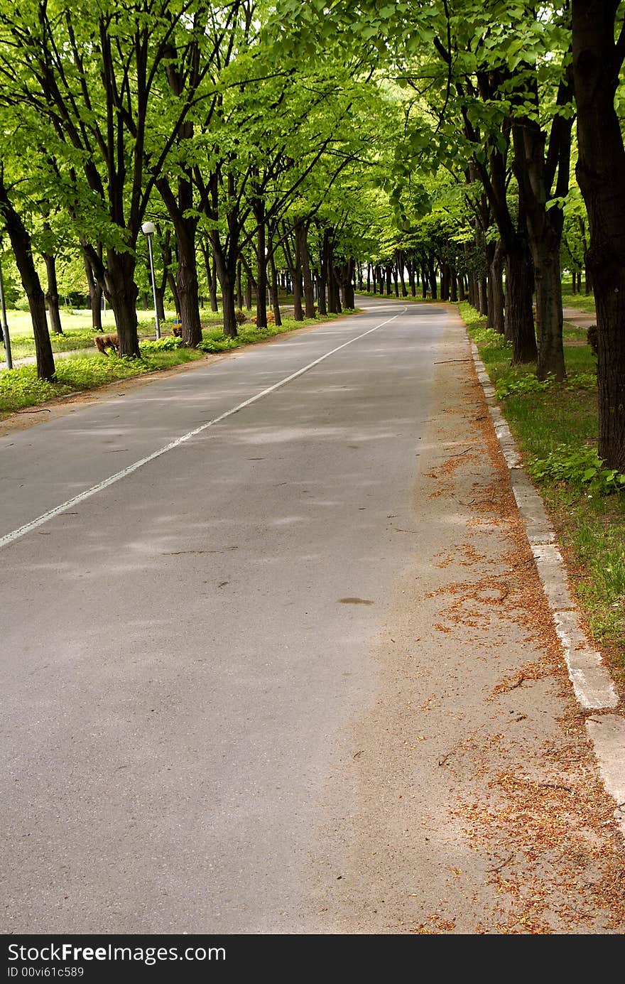 Road to park in spring day