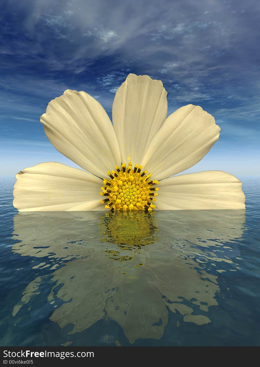 Beautiful flower with reflection on water - digital artwork. Beautiful flower with reflection on water - digital artwork.