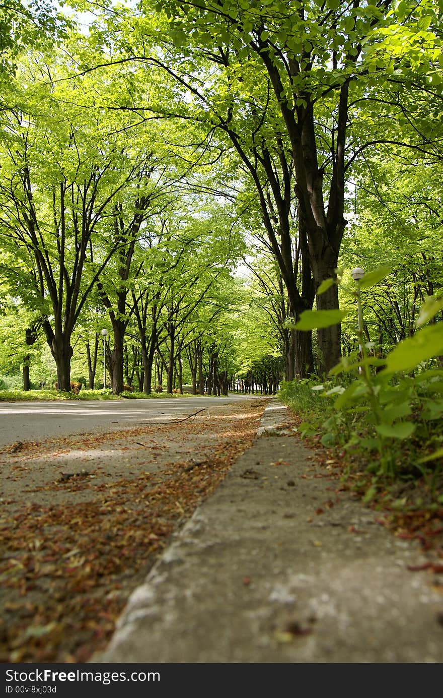 Road to park in spring day