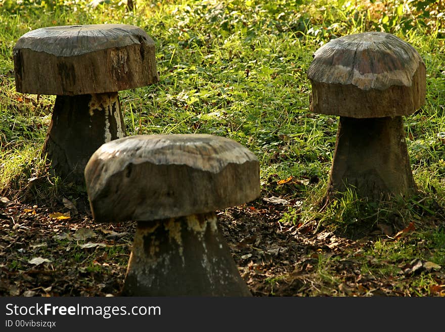 Wooden toad stool seats