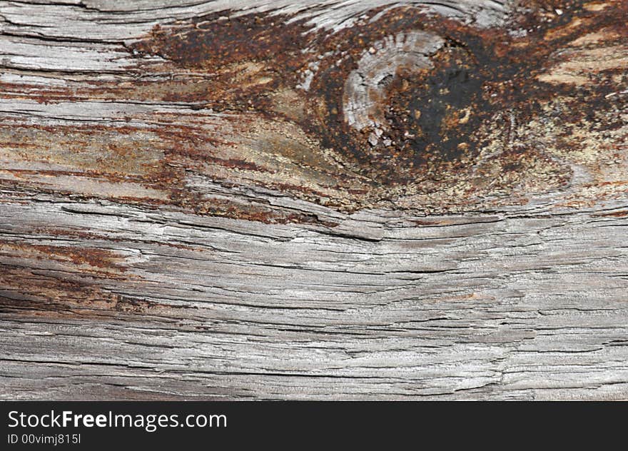 Old wood knot bleached color wooden background. Old wood knot bleached color wooden background