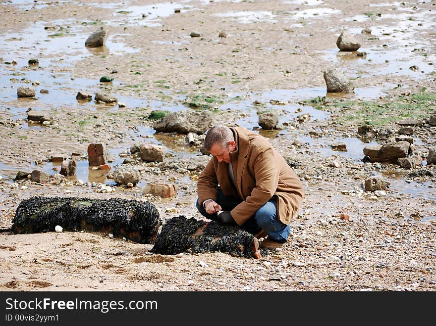 Man at the beach looking for mussels and shells